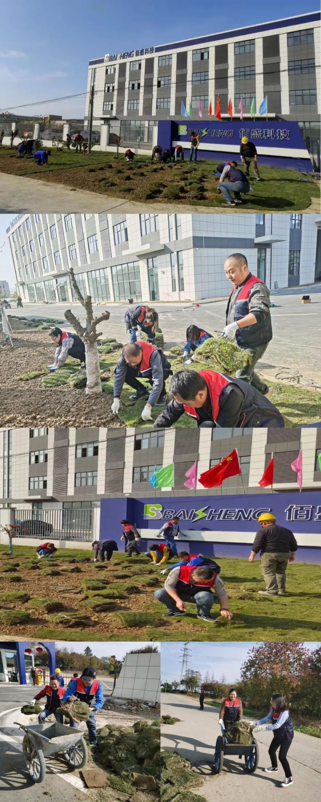 黄瓜视频色板下载